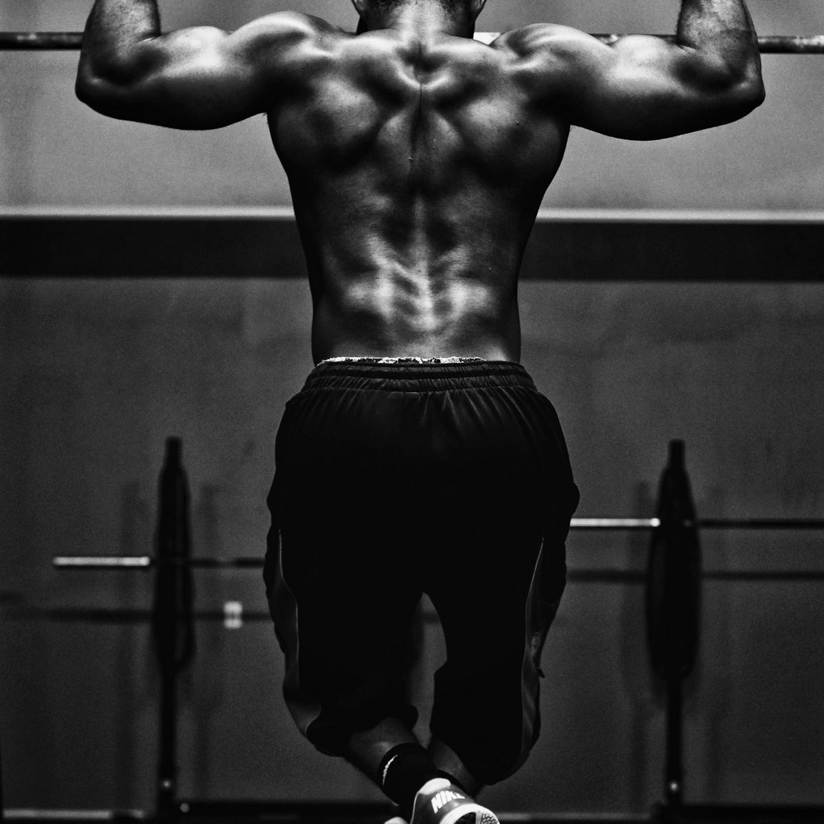 Thicket Fit Studio